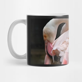 Greater Flamingo Preening Mug